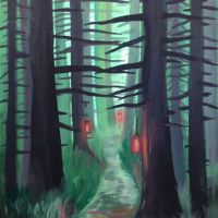 Svetlo v lese