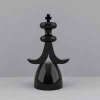 Šach inšpirovaný talianskými dejateľmi, 3. ročník, Martina Pechovátéma - suvenír, 3D tlač