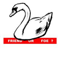 Friend or foe ? (plagát)