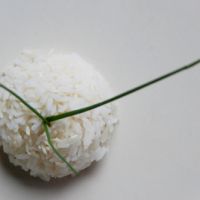 L&aacute;ska na poly/i &scaron;koly