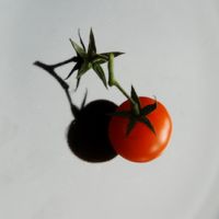 L&aacute;ska na poly/i &scaron;koly