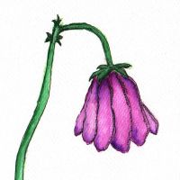 Hra dixit, navrhy vlastnych kariet (5)