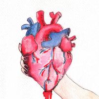 Hra dixit, navrhy vlastnych kariet (6)