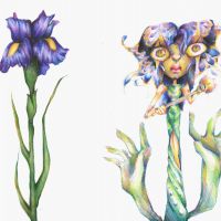 Vytvarna priprava 00