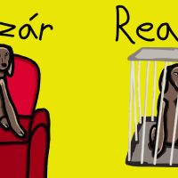 Ilustr&aacute;cie pre Slobodu zvierat