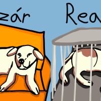 Ilustr&aacute;cie pre Slobodu zvierat