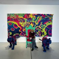 Exkurzia danubiana textilny dizajn (5)