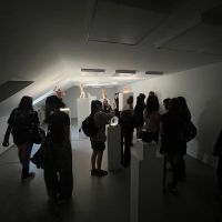 Img 7156